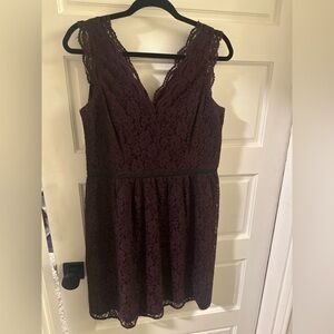 LOFT Lace Knee length Dress - Deep Purple